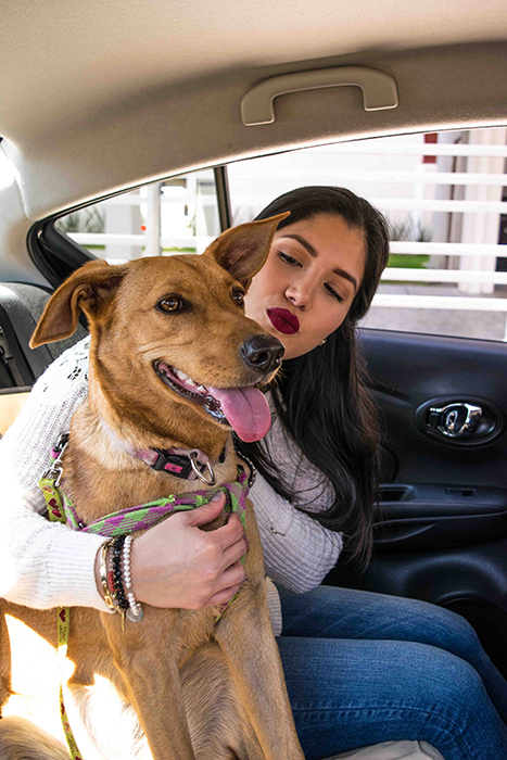 Cabify Pet viaja con tu mascota  de manera segura