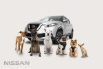 Nissan línea de accesorios para mascotas en México