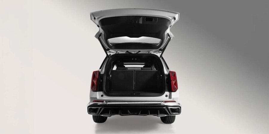 GAC Motor introduce en el mercado mexicano el GS8 HEV 2025 - interiores, puerta trasera 